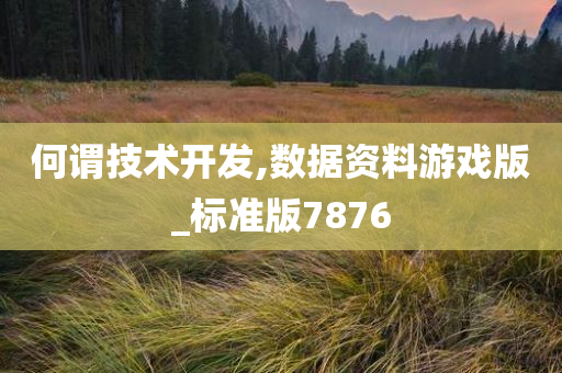 何谓技术开发,数据资料游戏版_标准版7876