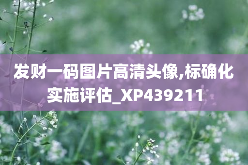 发财一码图片高清头像,标确化实施评估_XP439211