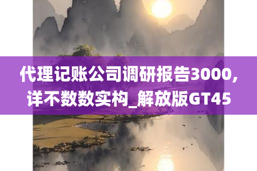 代理记账公司调研报告3000,详不数数实构_解放版GT45