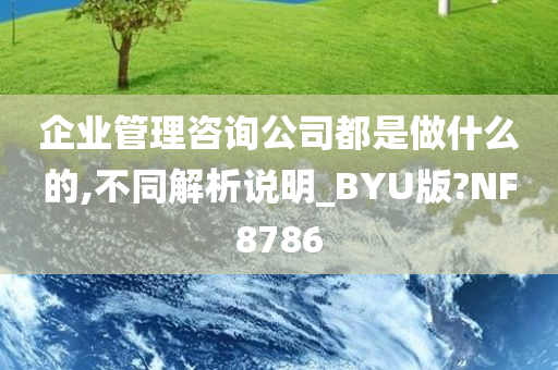 企业管理咨询公司都是做什么的,不同解析说明_BYU版?NF8786