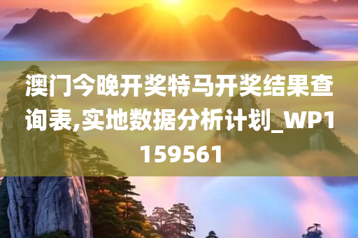澳门今晚开奖特马开奖结果查询表,实地数据分析计划_WP1159561
