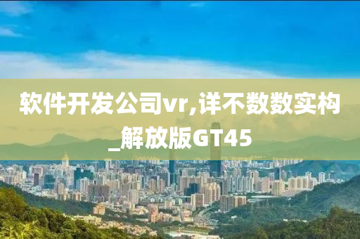 软件开发公司vr,详不数数实构_解放版GT45