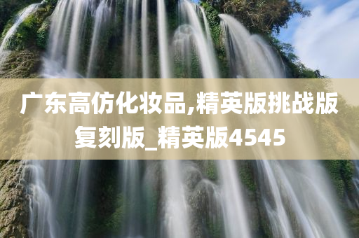 广东高仿化妆品,精英版挑战版复刻版_精英版4545