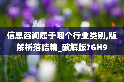 信息咨询属于哪个行业类别,版解析落结精_破解版?GH9