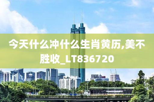 今天什么冲什么生肖黄历,美不胜收_LT836720