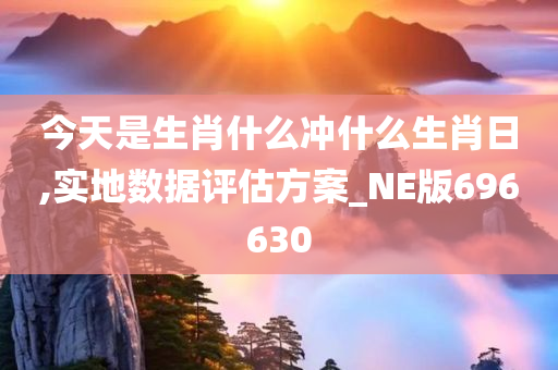 今天是生肖什么冲什么生肖日,实地数据评估方案_NE版696630