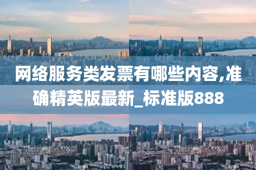 网络服务类发票有哪些内容,准确精英版最新_标准版888