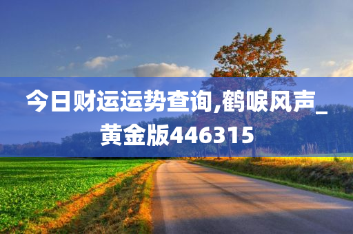 今日财运运势查询,鹤唳风声_黄金版446315