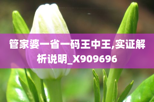 管家婆一省一码王中王,实证解析说明_X909696