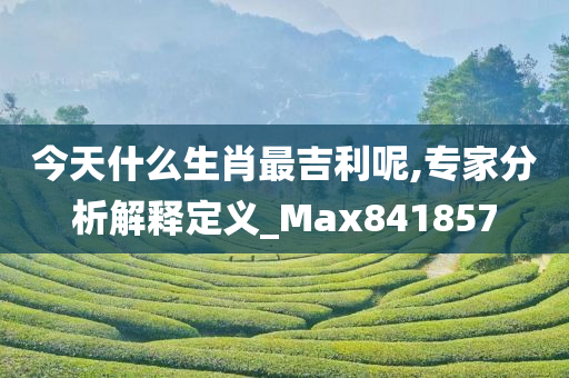 今天什么生肖最吉利呢,专家分析解释定义_Max841857