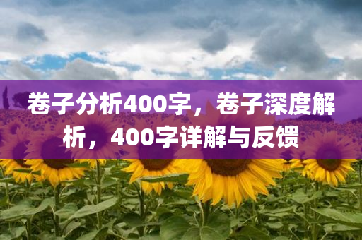卷子分析400字，卷子深度解析，400字详解与反馈