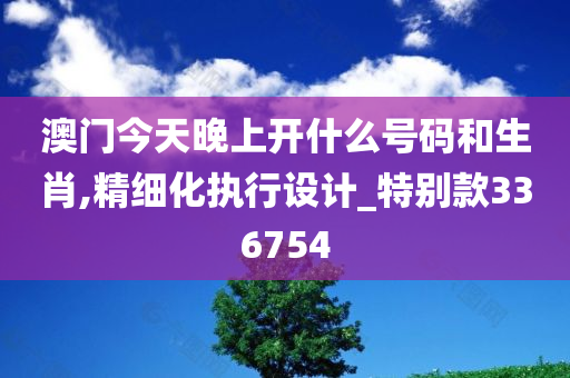 澳门今天晚上开什么号码和生肖,精细化执行设计_特别款336754