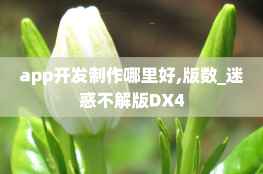 app开发制作哪里好,版数_迷惑不解版DX4