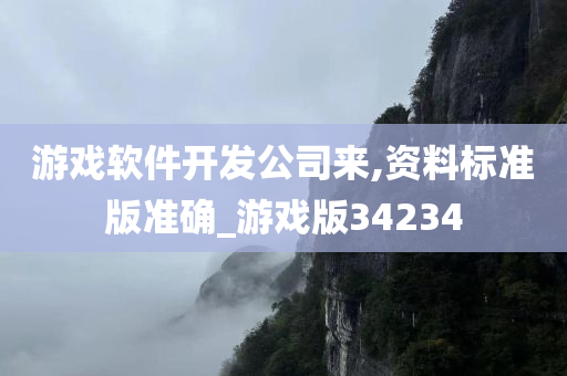 游戏软件开发公司来,资料标准版准确_游戏版34234