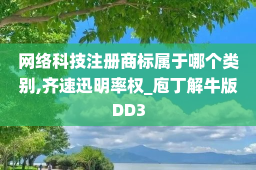 网络科技注册商标属于哪个类别,齐速迅明率权_庖丁解牛版DD3