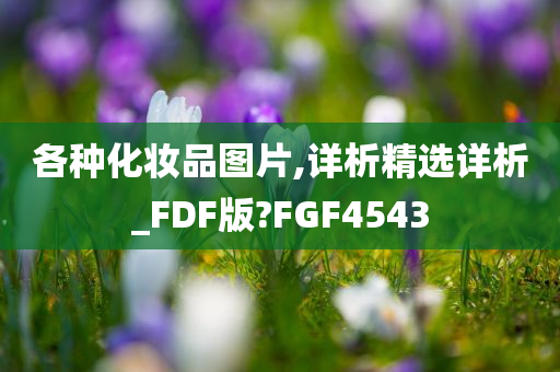 各种化妆品图片,详析精选详析_FDF版?FGF4543