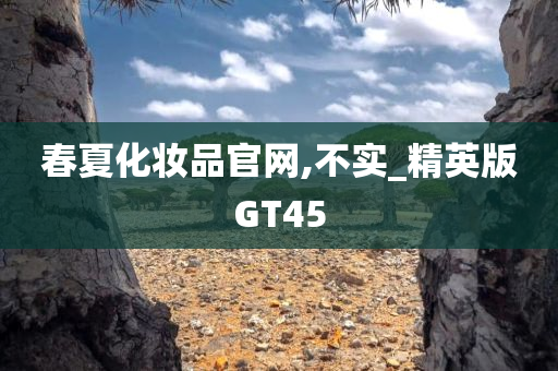 春夏化妆品官网,不实_精英版GT45