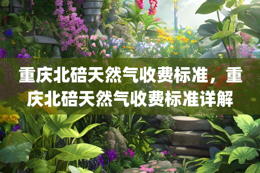 重庆北碚天然气收费标准，重庆北碚天然气收费标准详解