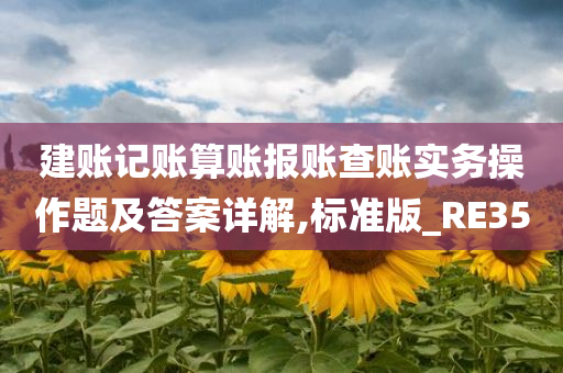 建账记账算账报账查账实务操作题及答案详解,标准版_RE35