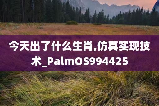 今天出了什么生肖,仿真实现技术_PalmOS994425