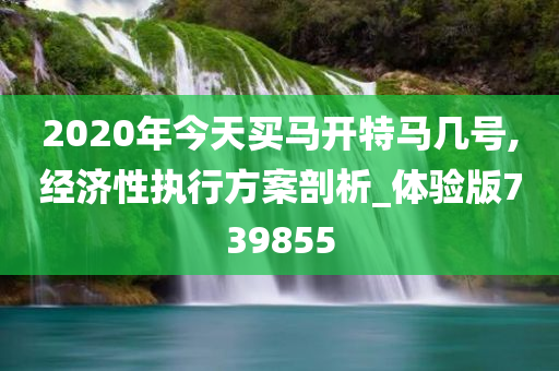 2020年今天买马开特马几号,经济性执行方案剖析_体验版739855