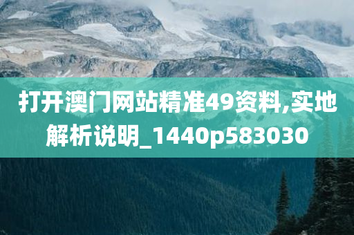打开澳门网站精准49资料,实地解析说明_1440p583030