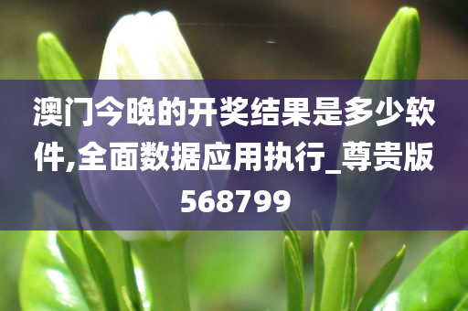澳门今晚的开奖结果是多少软件,全面数据应用执行_尊贵版568799