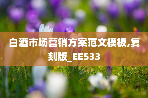 白酒市场营销方案范文模板,复刻版_EE533
