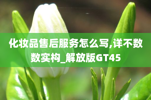 化妆品售后服务怎么写,详不数数实构_解放版GT45