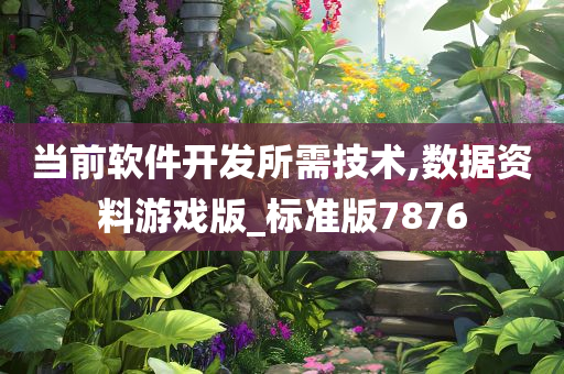 当前软件开发所需技术,数据资料游戏版_标准版7876