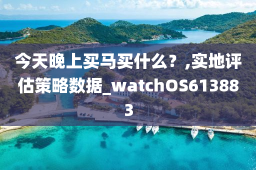 今天晚上买马买什么？,实地评估策略数据_watchOS613883