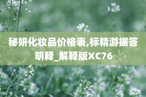 秘妍化妆品价格表,标精游据答明释_解释版XC76