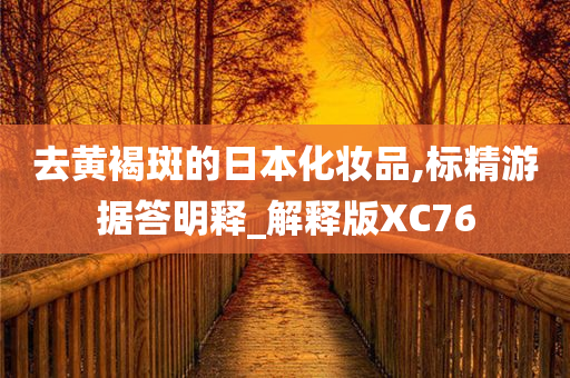 去黄褐斑的日本化妆品,标精游据答明释_解释版XC76