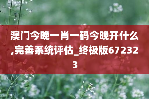 澳门今晚一肖一码今晚开什么,完善系统评估_终极版672323