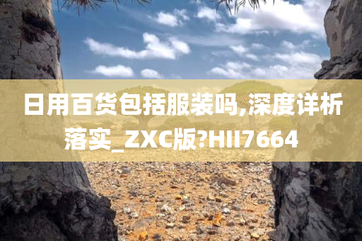 日用百货包括服装吗,深度详析落实_ZXC版?HII7664