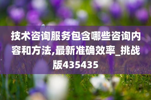 技术咨询服务包含哪些咨询内容和方法,最新准确效率_挑战版435435