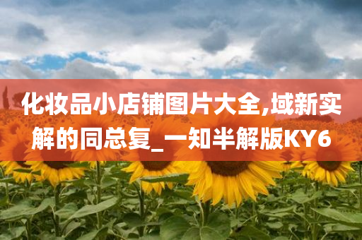 化妆品小店铺图片大全,域新实解的同总复_一知半解版KY6