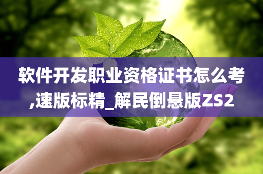 软件开发职业资格证书怎么考,速版标精_解民倒悬版ZS2