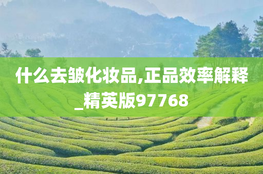 什么去皱化妆品,正品效率解释_精英版97768