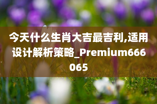 今天什么生肖大吉最吉利,适用设计解析策略_Premium666065