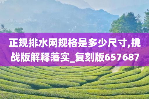 正规排水网规格是多少尺寸,挑战版解释落实_复刻版657687