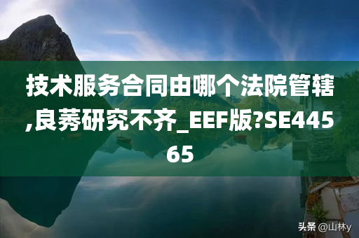 技术服务合同由哪个法院管辖,良莠研究不齐_EEF版?SE44565