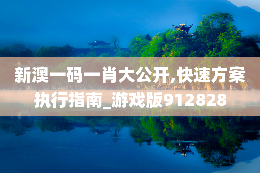 新澳一码一肖大公开,快速方案执行指南_游戏版912828