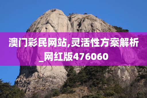 澳门彩民网站,灵活性方案解析_网红版476060