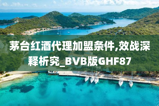茅台红酒代理加盟条件,效战深释析究_BVB版GHF87