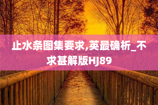 止水条图集要求,英最确析_不求甚解版HJ89