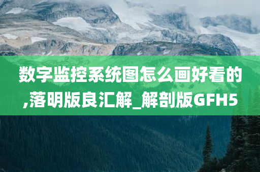 数字监控系统图怎么画好看的,落明版良汇解_解剖版GFH5
