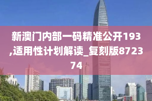 新澳门内部一码精准公开193,适用性计划解读_复刻版872374