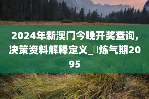 2024年新澳门今晚开奖查询,决策资料解释定义_?炼气期2095