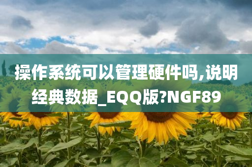 操作系统可以管理硬件吗,说明经典数据_EQQ版?NGF89
